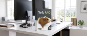 Nelly FAQ Wordpress plugin
